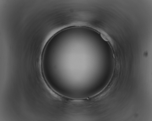 X0000096641343200802121101