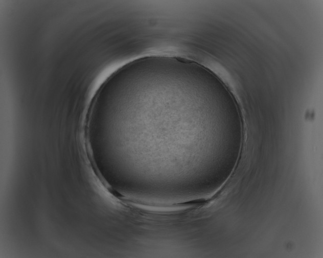 X0000096641344200802121101