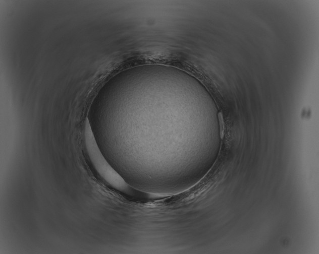 X0000096641345200802121100