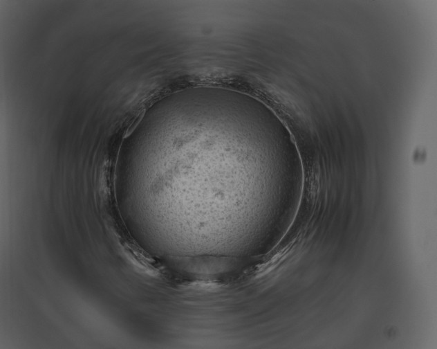 X0000096641346200802121100