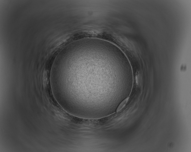 X0000096641347200802121100