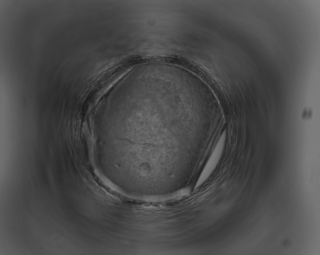 X0000096641348200802121100