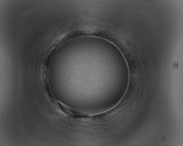 X0000096641349200802121100
