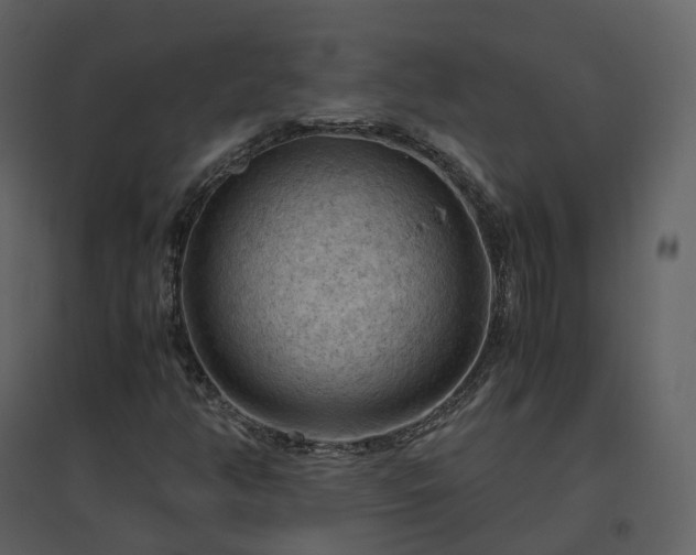 X0000096641350200802121100