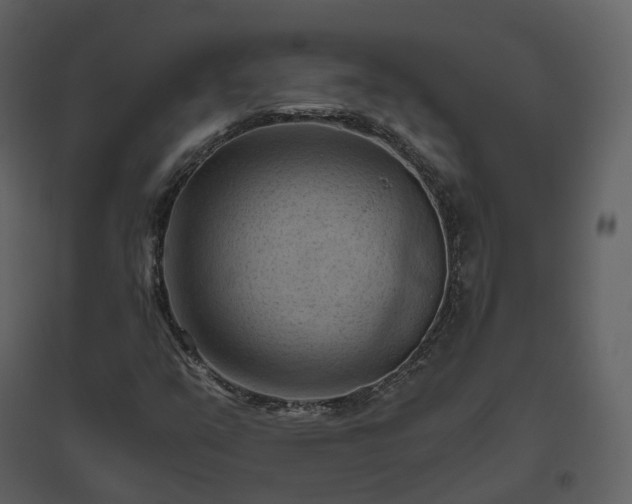 X0000096641351200802121100