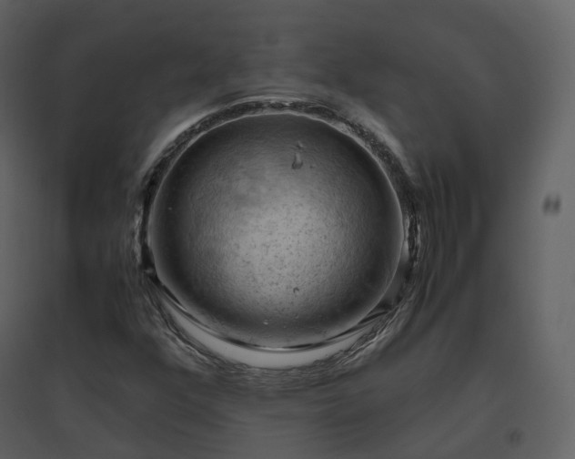 X0000096641352200802121100