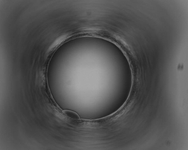 X0000096641354200802121100