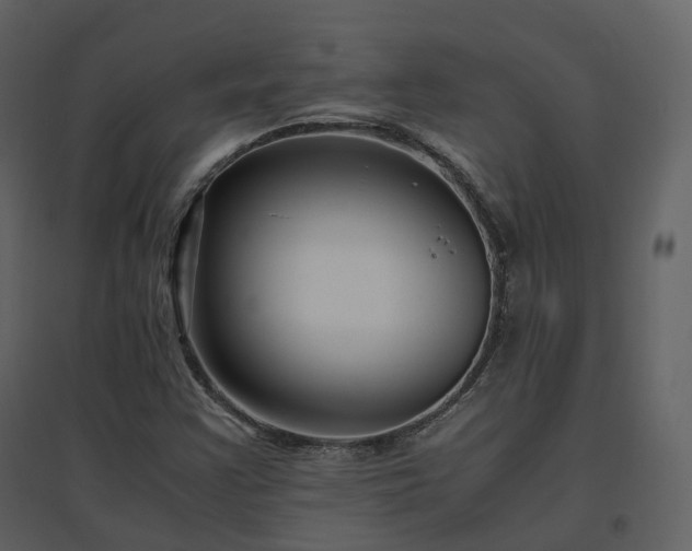 X0000096641355200802121100