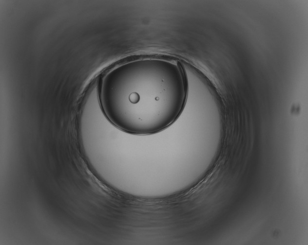 X0000096641356200802121100