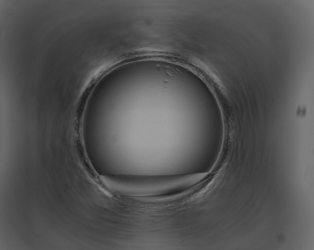 X0000096641357200802121100