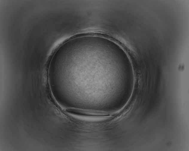 X0000096641358200802121100
