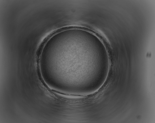 X0000096641360200802121100