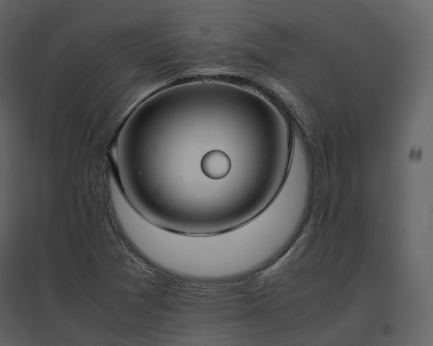X0000096641361200802121100