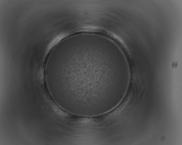 X0000096641362200802121100
