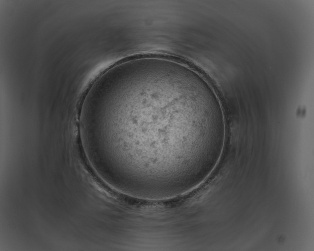 X0000096641363200802121100