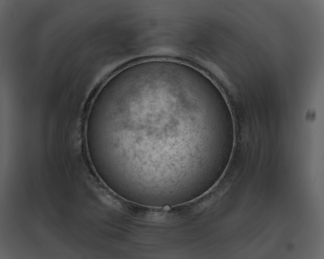 X0000096641364200802121100