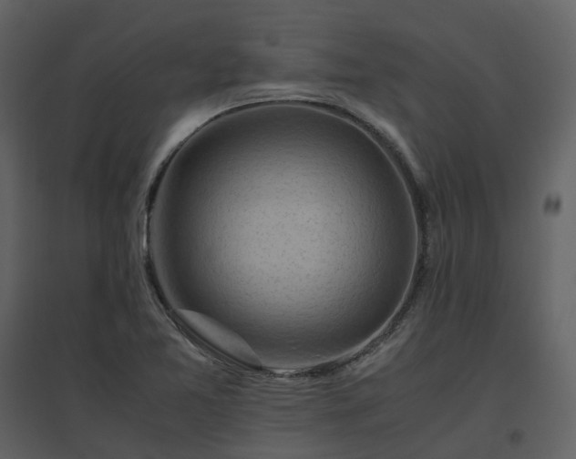X0000096641365200802121100
