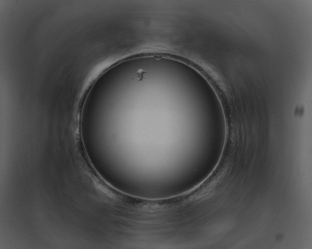 X0000096641366200802121100