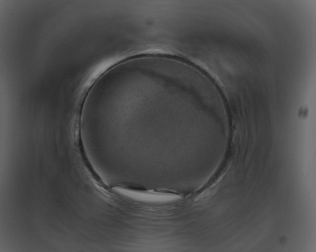 X0000096641367200802121100