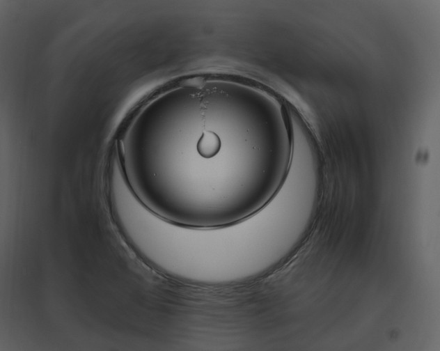 X0000096641368200802121100