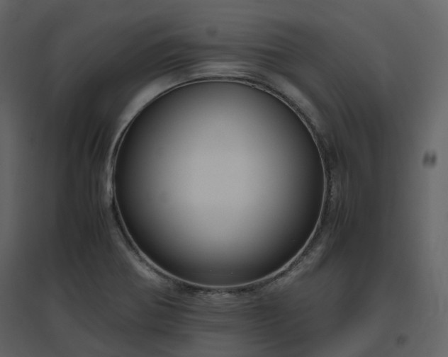 X0000096641370200802121100