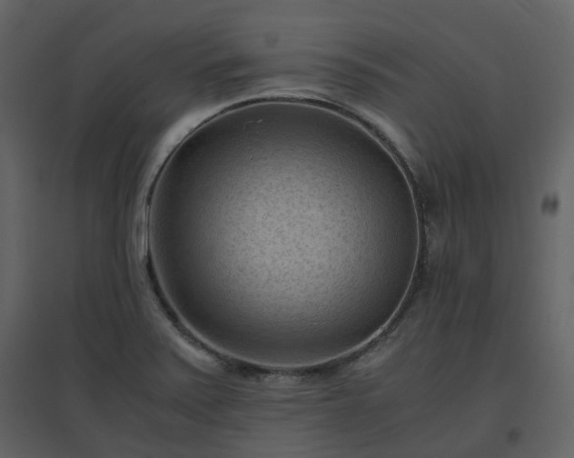 X0000096641371200802121100