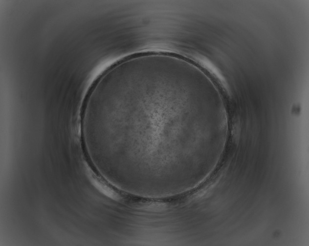 X0000096641372200802121100