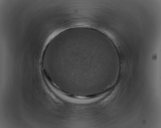 X0000096641373200802121100
