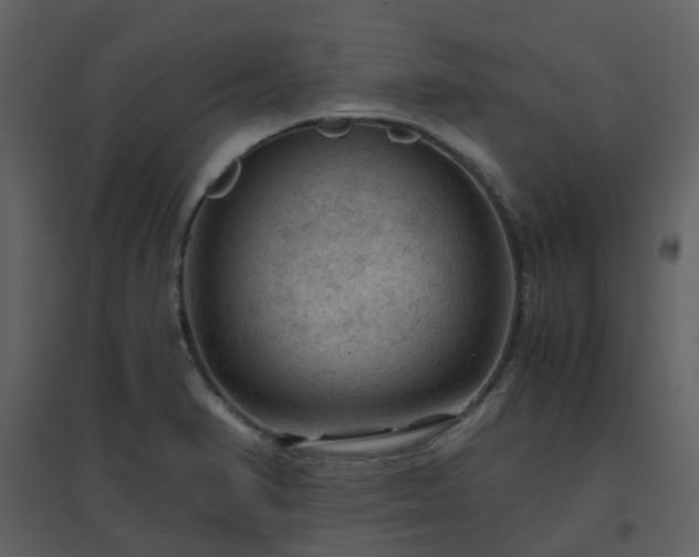 X0000096641374200802121100