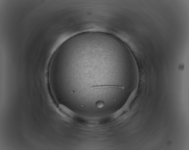 X0000096641375200802121100