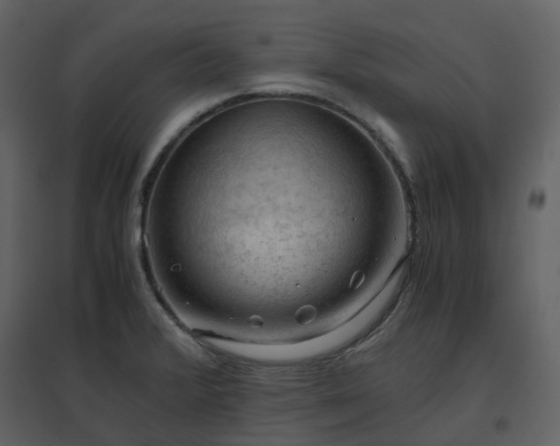 X0000096641376200802121100