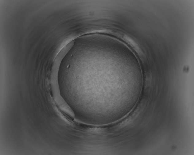 X0000096641377200802121100