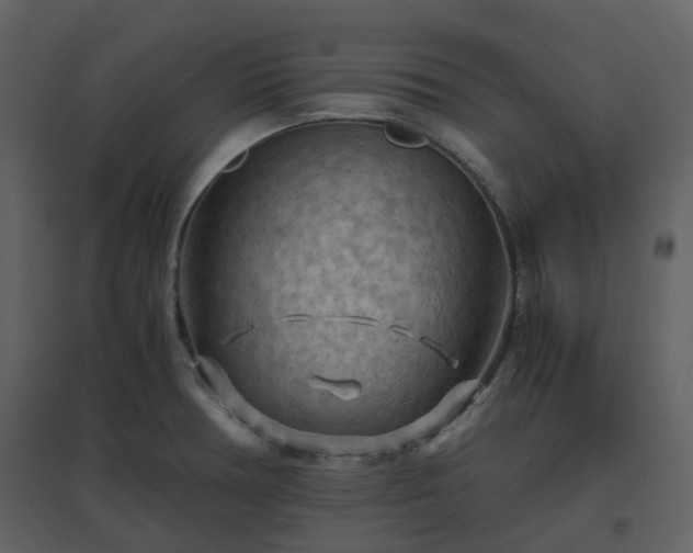 X0000096641378200802121100