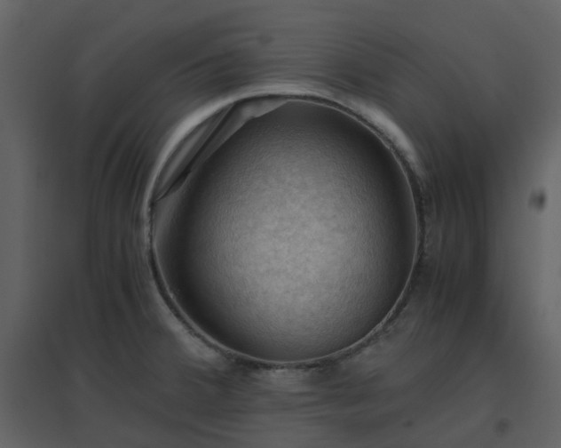 X0000096641380200802121100