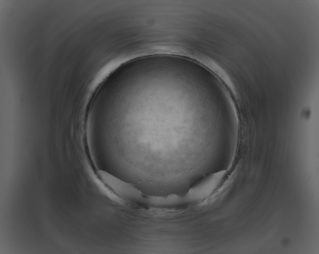 X0000096641381200802121100