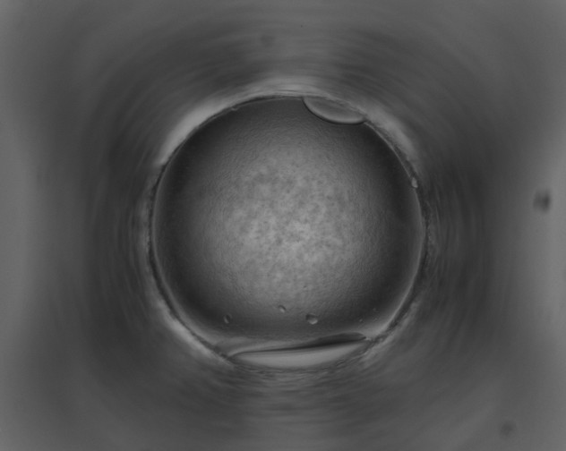 X0000096641382200802121100