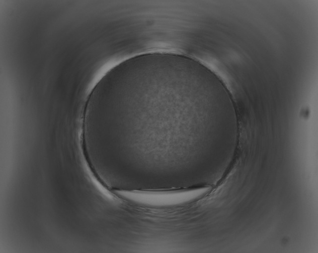 X0000096641383200802121100