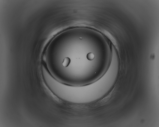 X0000096641384200802121100
