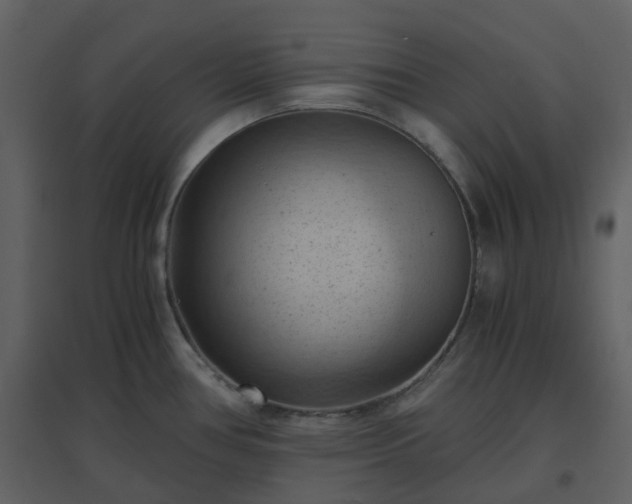 X0000096641386200802121100