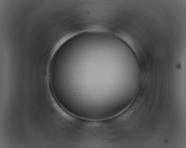 X0000096641387200802121100