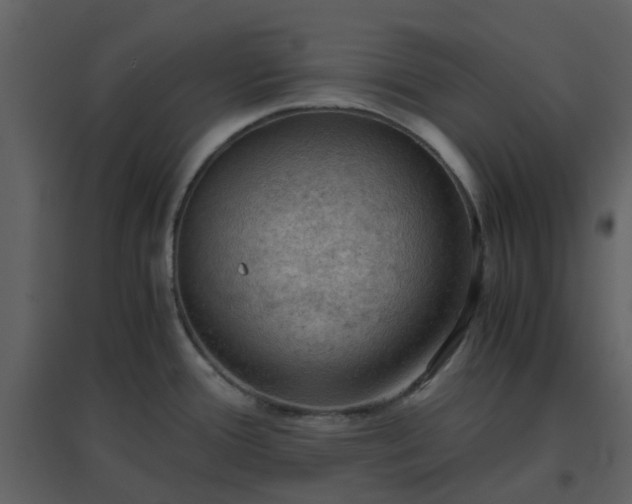 X0000096641388200802121100