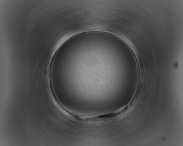 X0000096641389200802121100