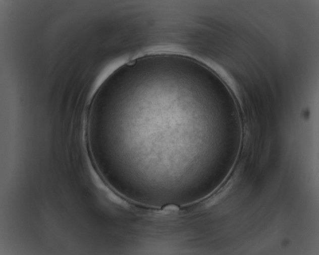 X0000096641390200802121100