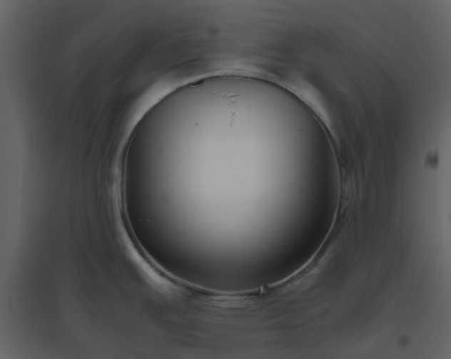 X0000096641391200802121100
