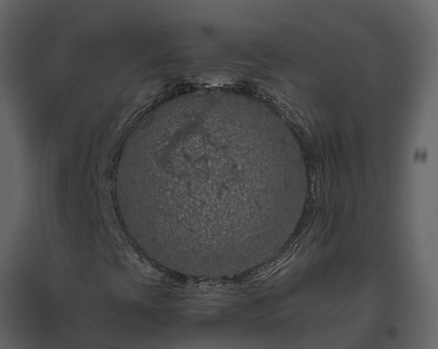 X0000096641393200802121059