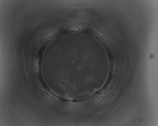 X0000096641394200802121059