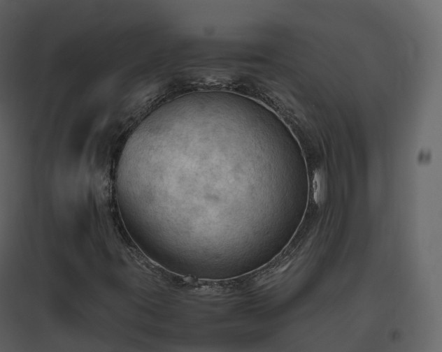X0000096641395200802121059