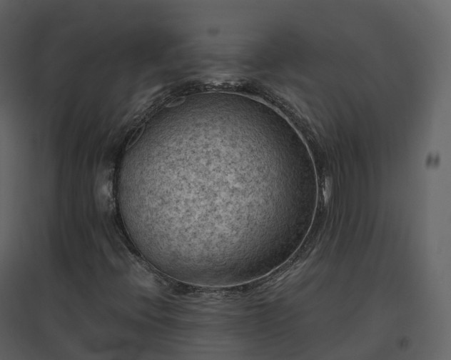 X0000096641396200802121059