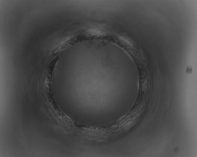X0000096641397200802121059