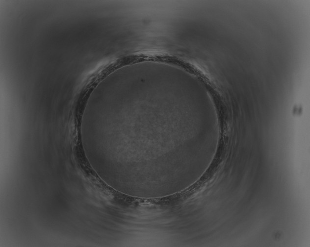 X0000096641398200802121059